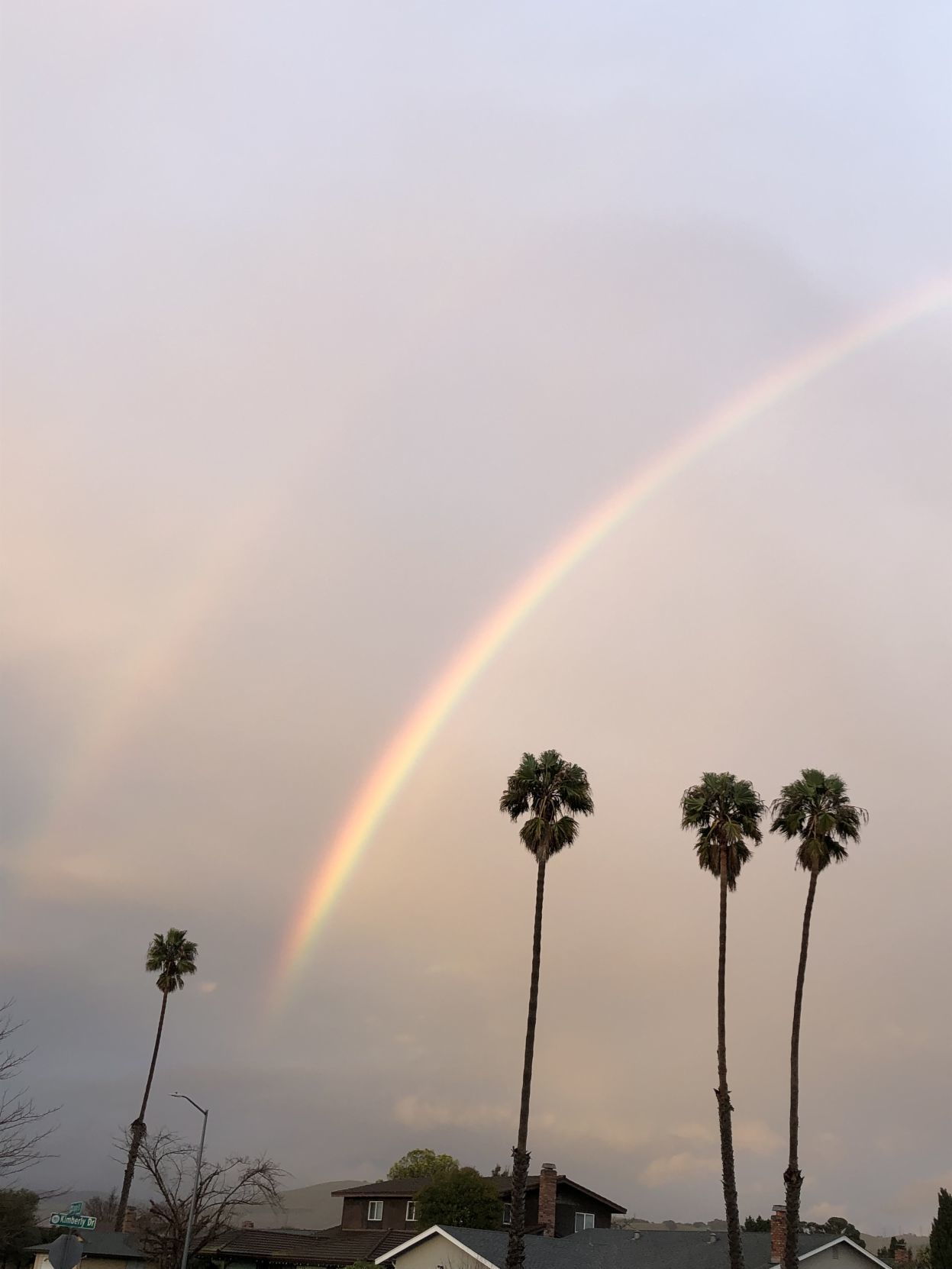 Rainbows in February